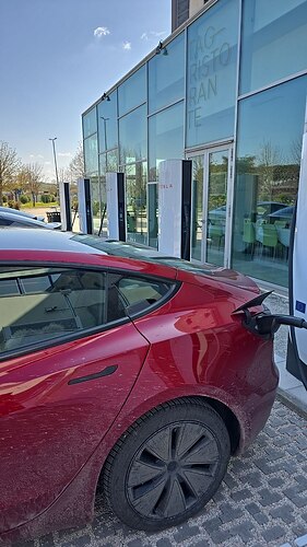 photo_2026-03-28_12-20-49