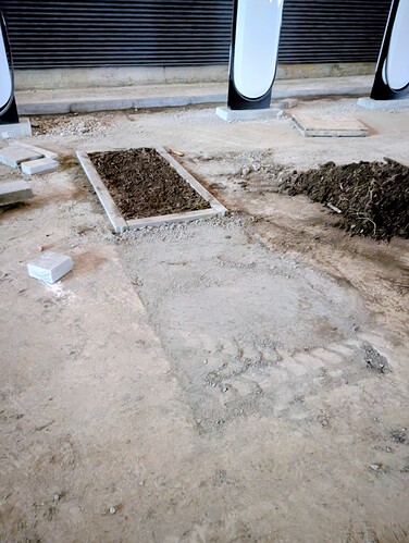 Bring on those two trees