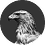 XButeoB